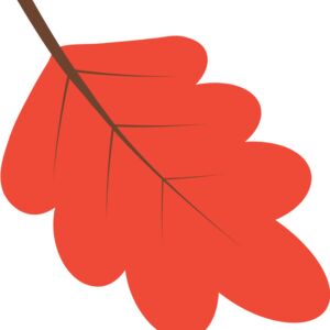 Red Leaf Thumbnail