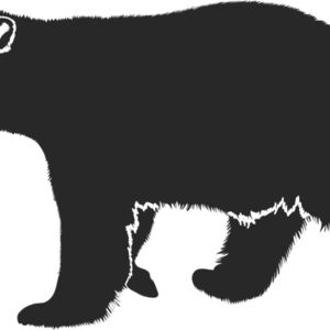 Bear Silhouette 6 Thumbnail
