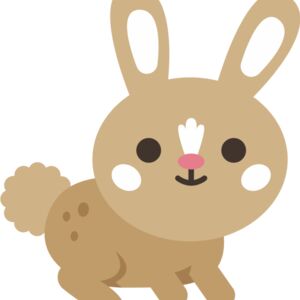 Bunny 1 Thumbnail