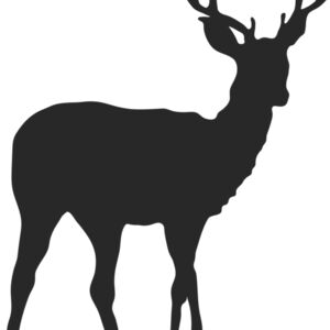 Deer Buck Silhouette 9 Thumbnail