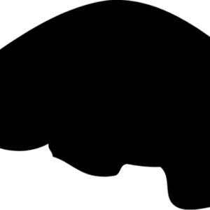 Ferret Silhouette 5 Thumbnail