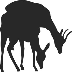 Deer Doe Silhouette 6 Thumbnail