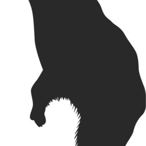 Bear Silhouette 3 Thumbnail