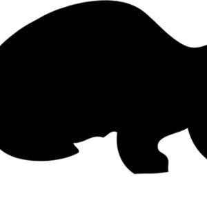 Ferret Silhouette 4 Thumbnail