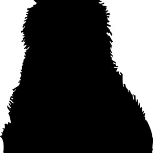 Bear Silhouette 14 Thumbnail