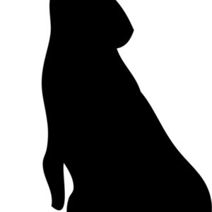 Rabbit Silhouette 3 Thumbnail