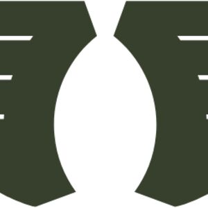 Military Wings Emblem 1 Thumbnail