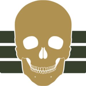 Military Skull Wings Emblem 1 Thumbnail