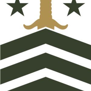Military Sword Chevron Emblem 1 Thumbnail