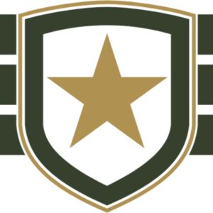Military Star Shield Badge Wings 1 Thumbnail