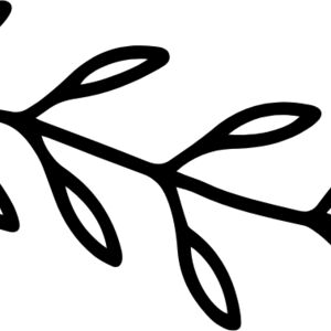 Floral Divider 18 Thumbnail