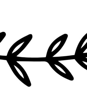 Floral Divider 12 Thumbnail