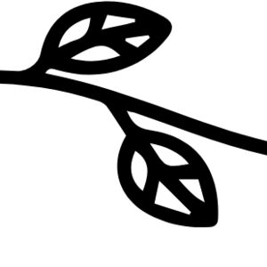 Floral Divider 19 Thumbnail