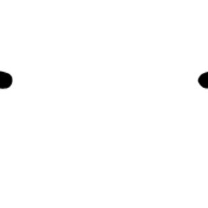 Floral Divider 10 Thumbnail