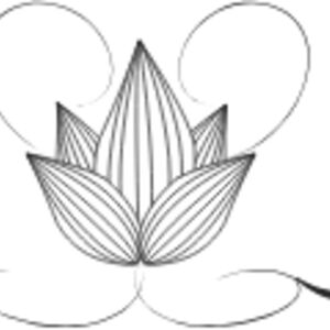 Fancy Divider 44 Thumbnail