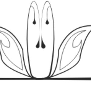 Fancy Divider 30 Thumbnail