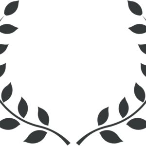 Branch Wreath 22 Thumbnail