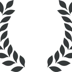 Branch Wreath 99 Thumbnail