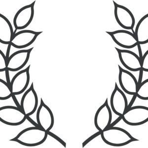 Branch Wreath 20 Thumbnail