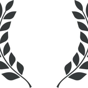 Branch Wreath 94 Thumbnail