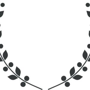 Branch Wreath 59 Thumbnail