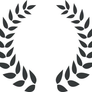 Branch Wreath 35 Thumbnail