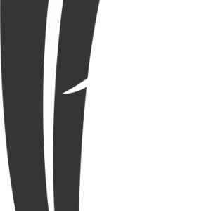 Feather Silhouette 4 Thumbnail