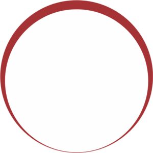 Red Circle Check Box 1 Thumbnail