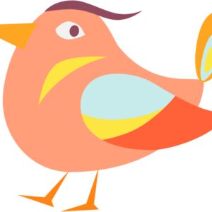 Baby Bird 6 Thumbnail