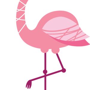 Baby Flamingo 1 Thumbnail