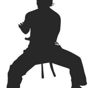 Martial Arts Fighter Silhouette 4 Thumbnail