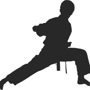 Martial Arts Fighter Silhouette 7 Thumbnail