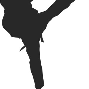 Martial Arts Fighter Silhouette 13 Thumbnail