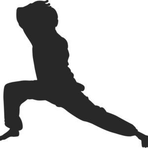 Martial Arts Fighter Silhouette 9 Thumbnail