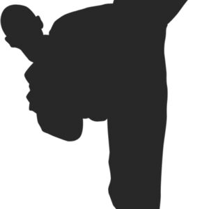 Martial Arts Fighter Silhouette 15 Thumbnail