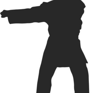 Martial Arts Fighter Silhouette 3 Thumbnail