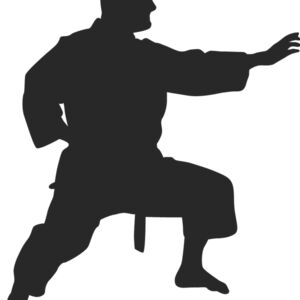 Martial Arts Fighter Silhouette 11 Thumbnail