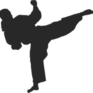 Martial Arts Fighter Silhouette 5 Thumbnail