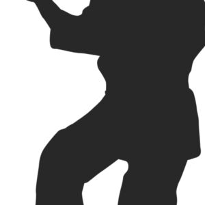 Martial Arts Fighter Silhouette 18 Thumbnail