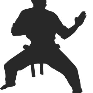 Martial Arts Fighter Silhouette 16 Thumbnail