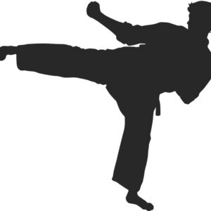 Martial Arts Fighter Silhouette 10 Thumbnail