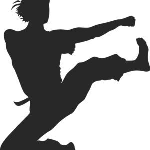 Martial Arts Fighter Silhouette 6 Thumbnail