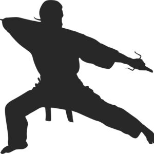 Martial Arts Fighter Silhouette 8 Thumbnail