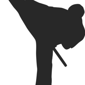 Martial Arts Fighter Silhouette 17 Thumbnail
