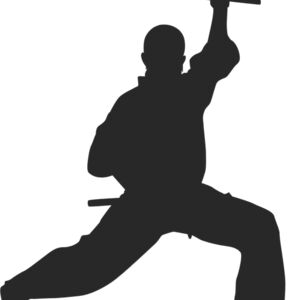 Martial Arts Fighter Silhouette 14 Thumbnail