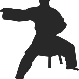 Martial Arts Fighter Silhouette 12 Thumbnail