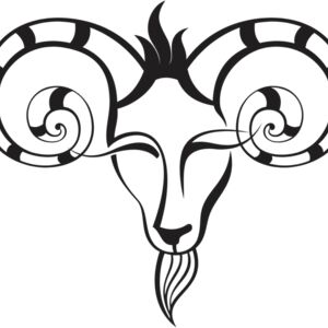 Aries Ram 2 Thumbnail