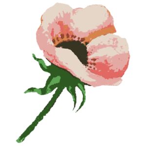 Watercolor Flower 1 Thumbnail