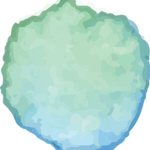 Watercolor Paint Drop 27 Thumbnail