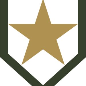 Military Star Shield Badge 2 Thumbnail